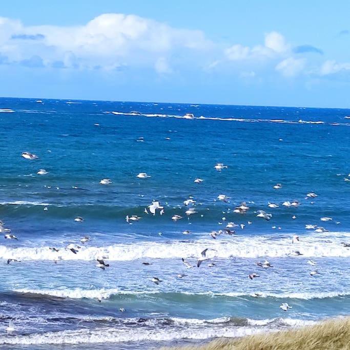 Gite Kerbourc'H Charmant Et Confortable, Mer Et Plages A 3Km, Ploudalmézeau Exteriér fotografie